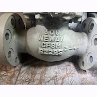 شیر فلکه 2 اینچ کلاس 300 نیووی neway